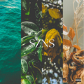 SZNS CD